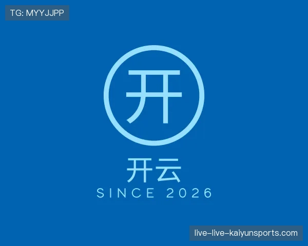 介绍开云世界杯